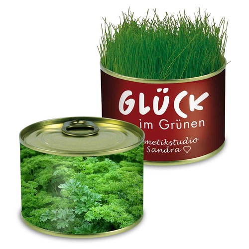 Nature-reserve with seeds - Parsley