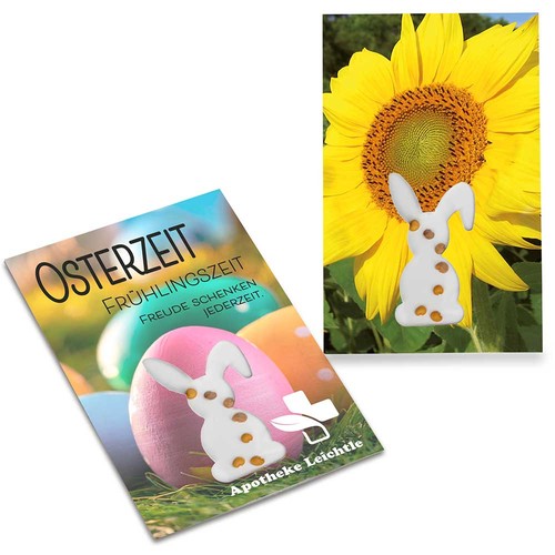 Seed-card-mini Easter - Sunflowers
