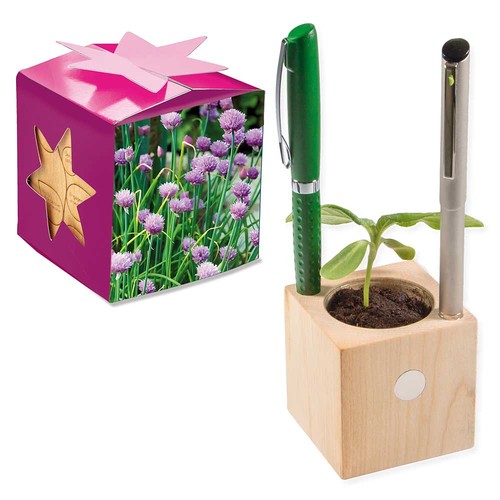 Plant-wood office star-box with seeds - chives