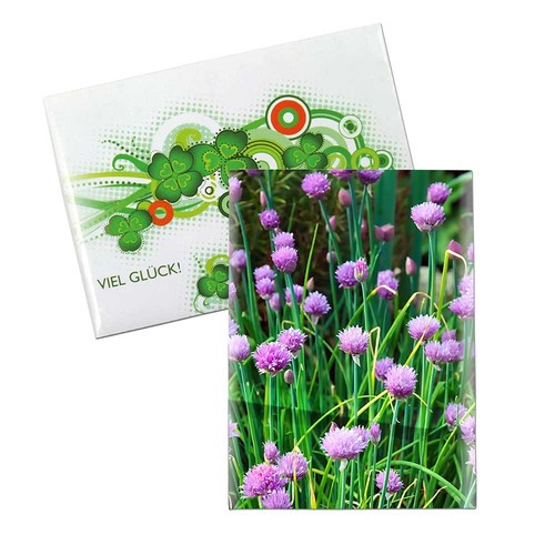 Seed-bag mini - Standard paper - chives