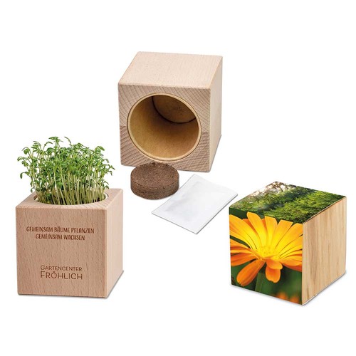 Plant-wood Grande with seeds - Marigold