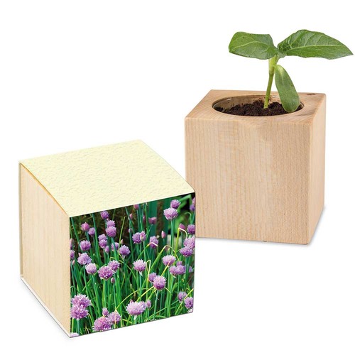 Plant-wood with seeds (paper band from grass paper) - chives