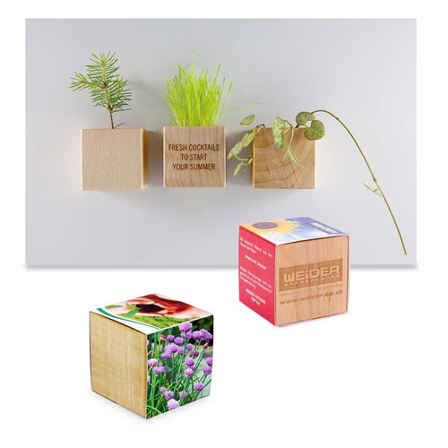 Plant-wood magnet with seeds - Parsley