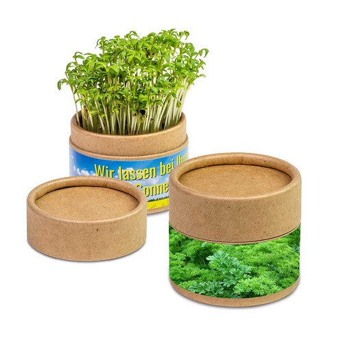 Plant-cup with seeds - Parsley