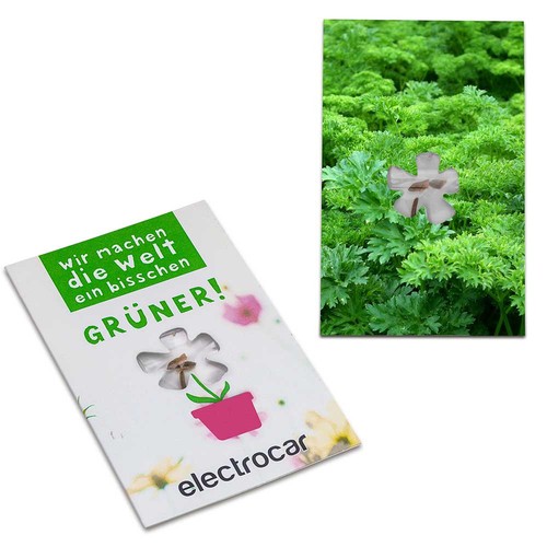Seed-card-mini flower - Parsley
