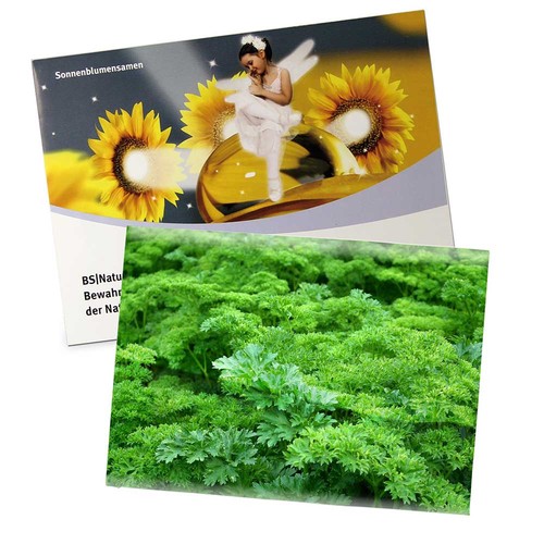 Seed-bag large - Standard paper - Parsley