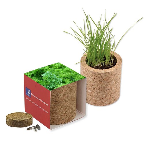 Plant-cork round with seeds - Parsley