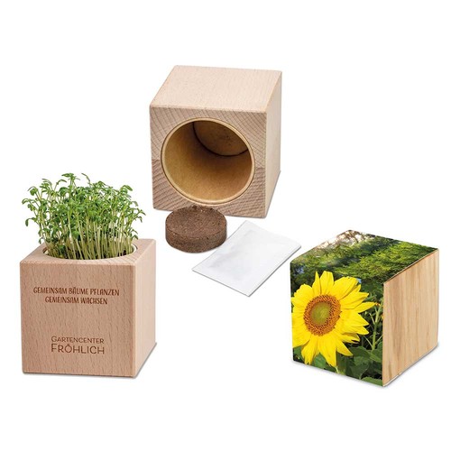 Plant-wood Grande with seeds - Sunflowers