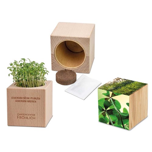 Plant-wood Grande with seeds - Four-leaf clover