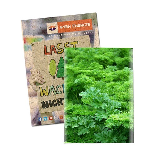 Seed-bag mini - Grass paper - Parsley