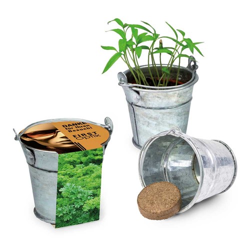 Mini plant-bucket with seeds - Parsley