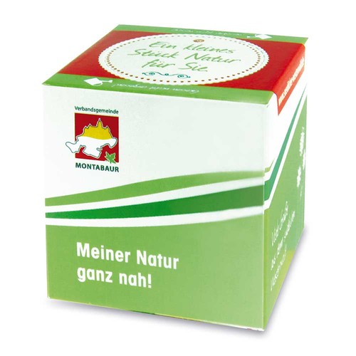 Plant-cube 2.0 with seeds - Christmas - chives Plant-cube 2.0 with seeds - Christmas - chives