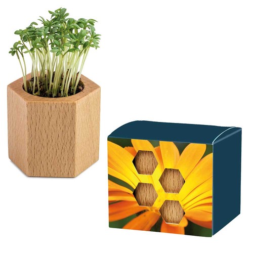 Plant-wood Hexagon with seeds - Marigold