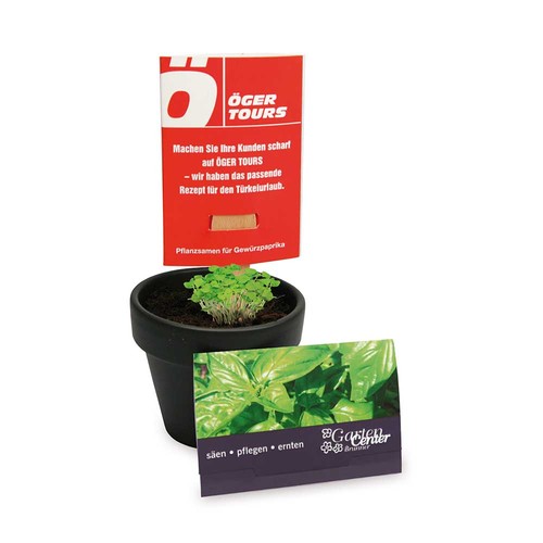 Plant-stick with seeds - Parsley Plant-stick with seeds - Parsley