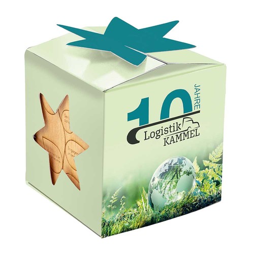 Plant-wood star-box with seeds - Parsley Plant-wood star-box with seeds - Parsley