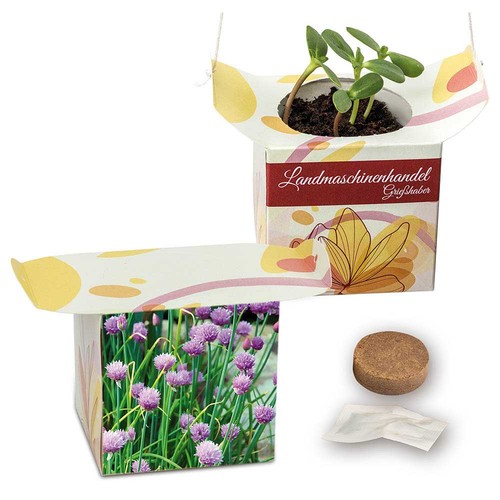 Hanging pot - chives