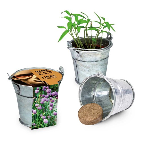 Mini plant-bucket with seeds - chives