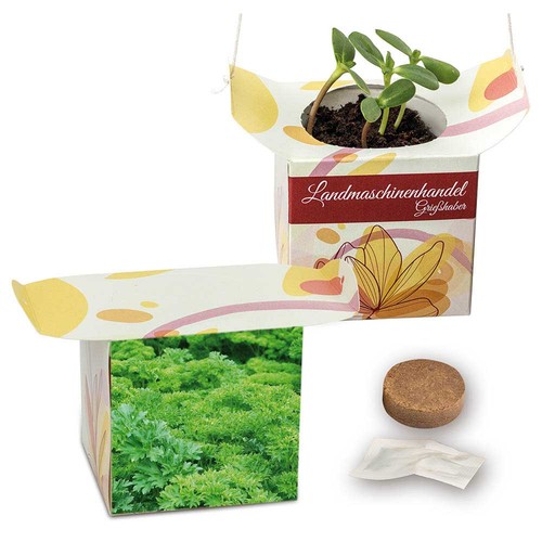 Hanging pot - Parsley