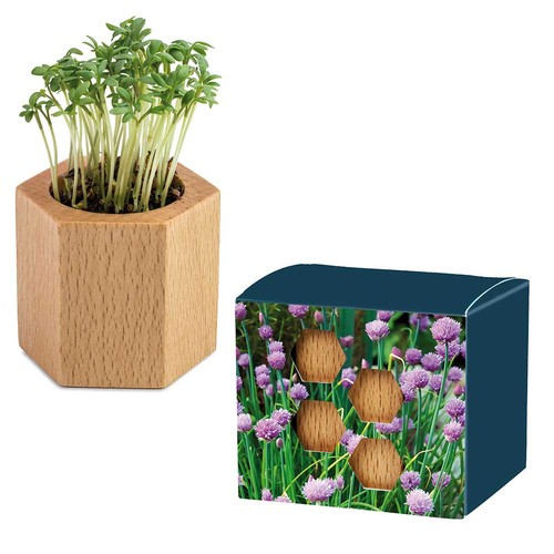 Plant-wood Hexagon with seeds - chives