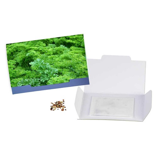 Flower-card with seeds - Parsley