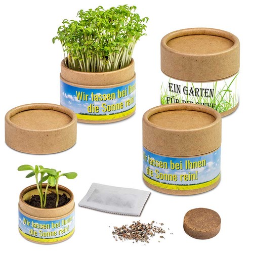 Plant-cup with seeds - chives Plant-cup with seeds - chives