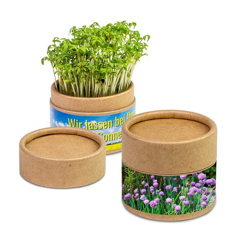 Plant-cup with seeds - chives