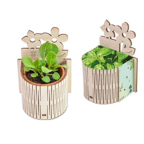 My Tiny Garden - Flower - Basil