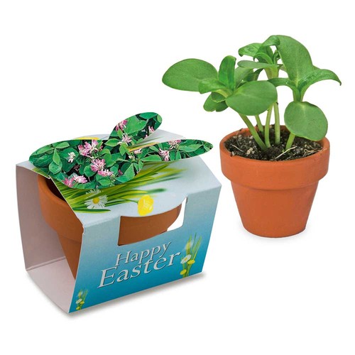 Mini plant-pot bunny with seeds - Persian clover (seeds)
