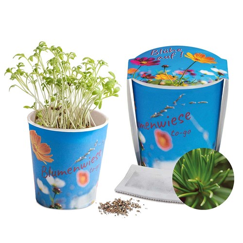 Flower meadow to-go - Spruce - neutral