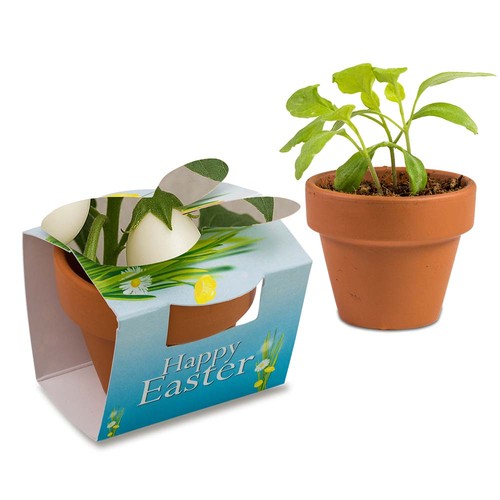 Mini plant-pot bunny with seeds - Egg tree seeds