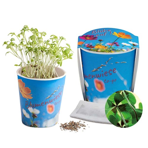 Flower meadow to-go - Lucky clover bulb (*Depending on the availability of bulbs) - neutral