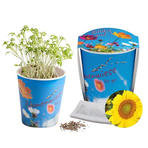 Flower meadow to-go - Sunflower - neutral