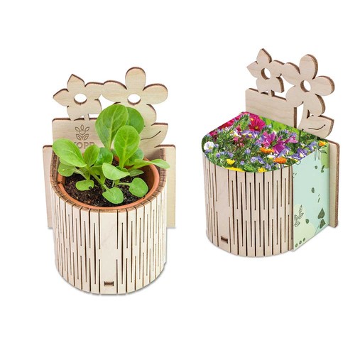 My Tiny Garden - Flower - Summerflowers mix