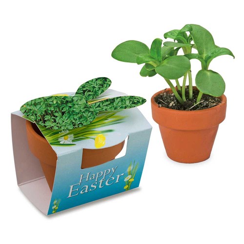 Mini plant-pot bunny with seeds - Cress