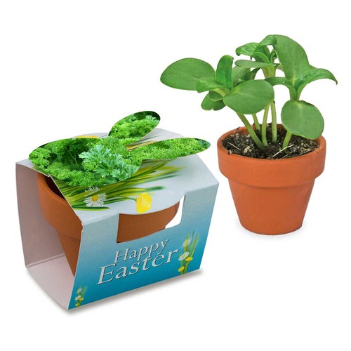Mini plant-pot bunny with seeds - Parsley