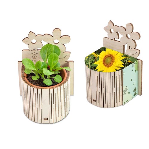 My Tiny Garden - Flower - Sunflowers