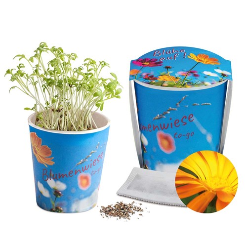 Flower meadow to-go - Calendula - neutral