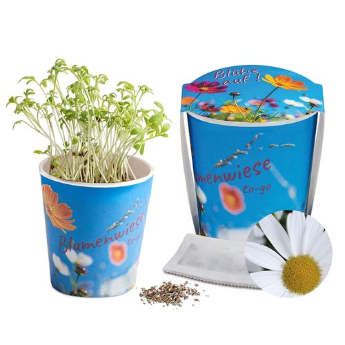 Flower meadow to-go - Daisy - neutral
