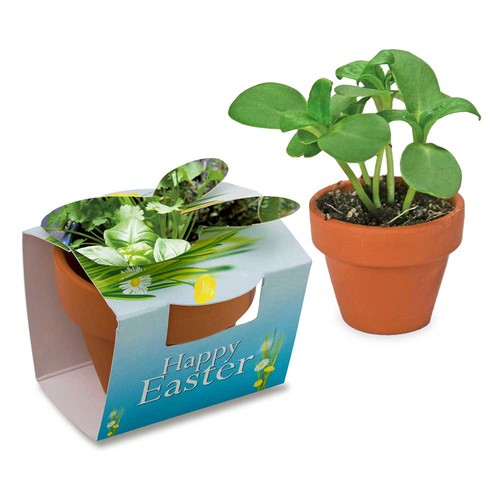 Mini plant-pot bunny with seeds - Herb-mixture