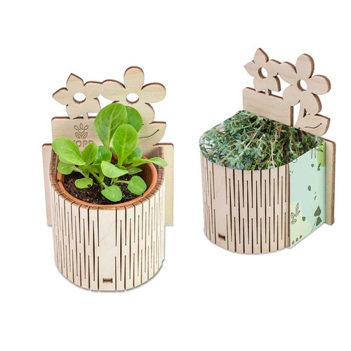 My Tiny Garden - Flower - Thyme