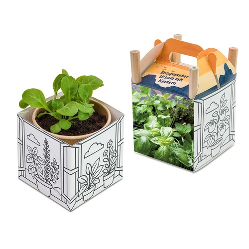 Color & Grow House - Herb-mixture