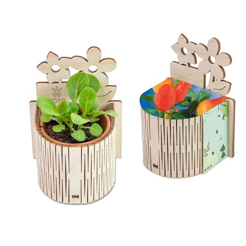 My Tiny Garden - Flower - Chilli