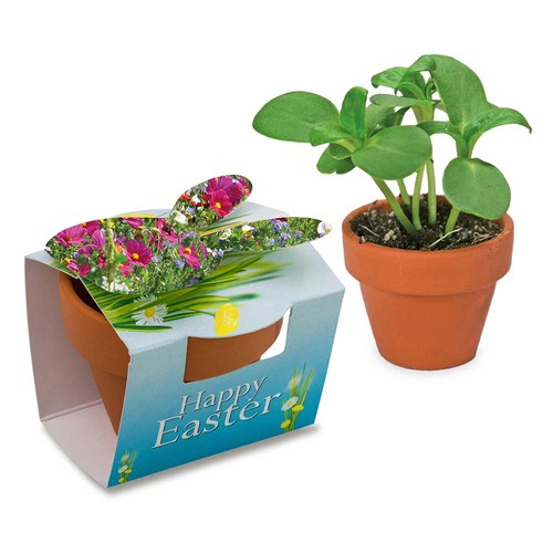 Mini plant-pot bunny with seeds - Summerflowers mix