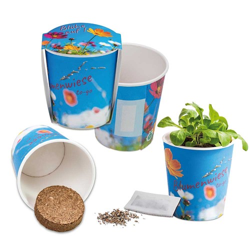 Flower meadow to-go - Mixed herbs - neutral Flower meadow to-go - Mixed herbs - neutral