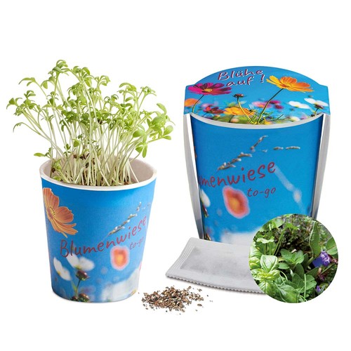 Flower meadow to-go - Mixed herbs - neutral