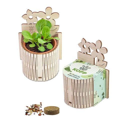 My Tiny Garden - Flower - Persian clover (seeds) My Tiny Garden - Flower - Persian clover (seeds)