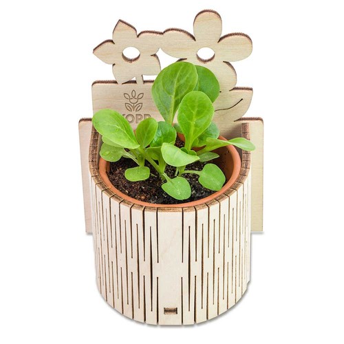 My Tiny Garden - Flower - Persian clover (seeds) My Tiny Garden - Flower - Persian clover (seeds)