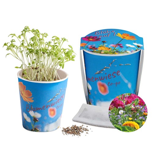 Flower meadow to-go - Summer flower mix - neutral