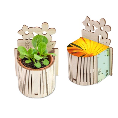 My Tiny Garden - Flower - Marigold