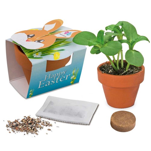 Mini plant-pot bunny with seeds - Forget-me-not Mini plant-pot bunny with seeds - Forget-me-not